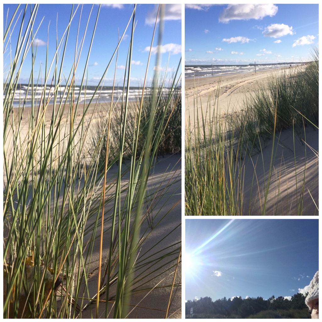 .... &uuml;ber die D&uuml;ne geschaut - Oktober 2017