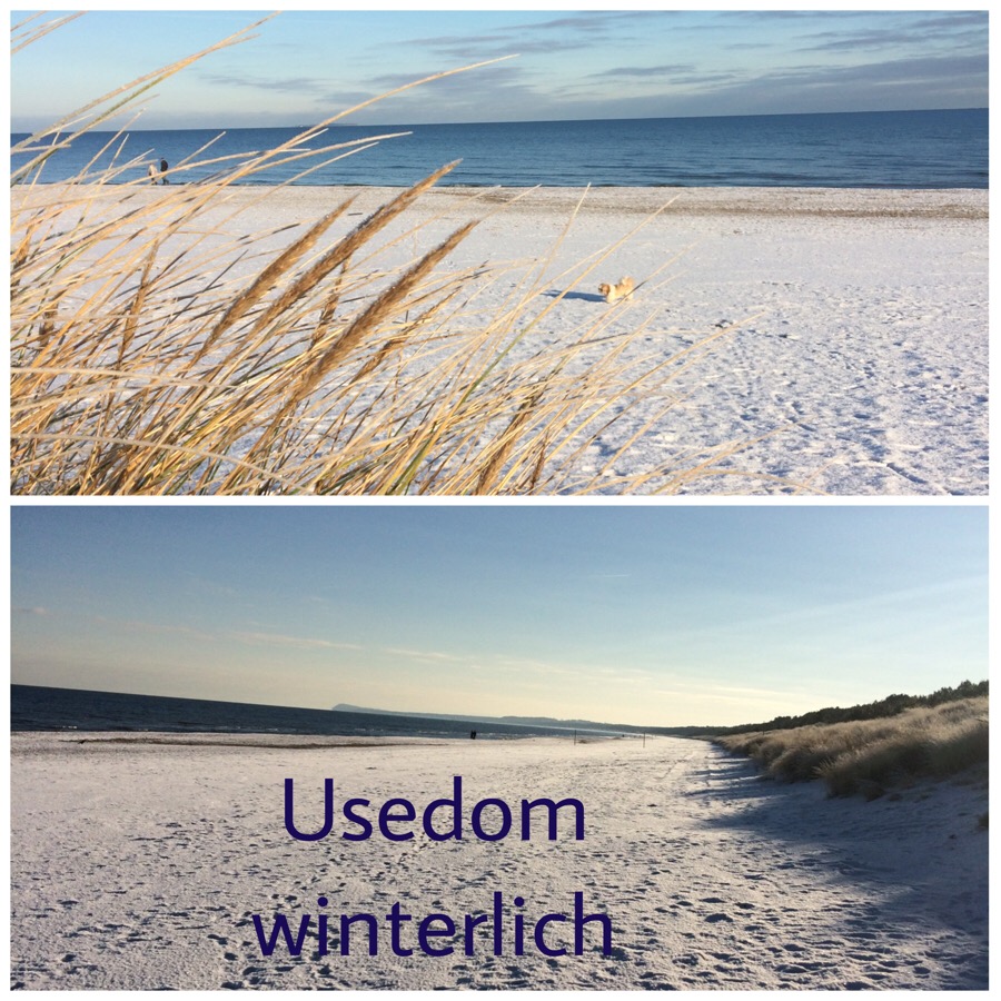 Sch&ouml;nheit im Winter