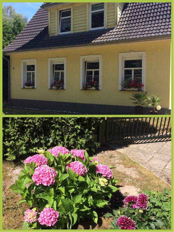 Eingez&auml;untes Grundst&uuml;ck