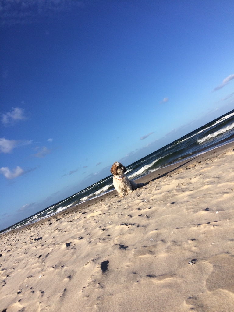 Erholung und Entspannung f&uuml;r Mensch und Tier